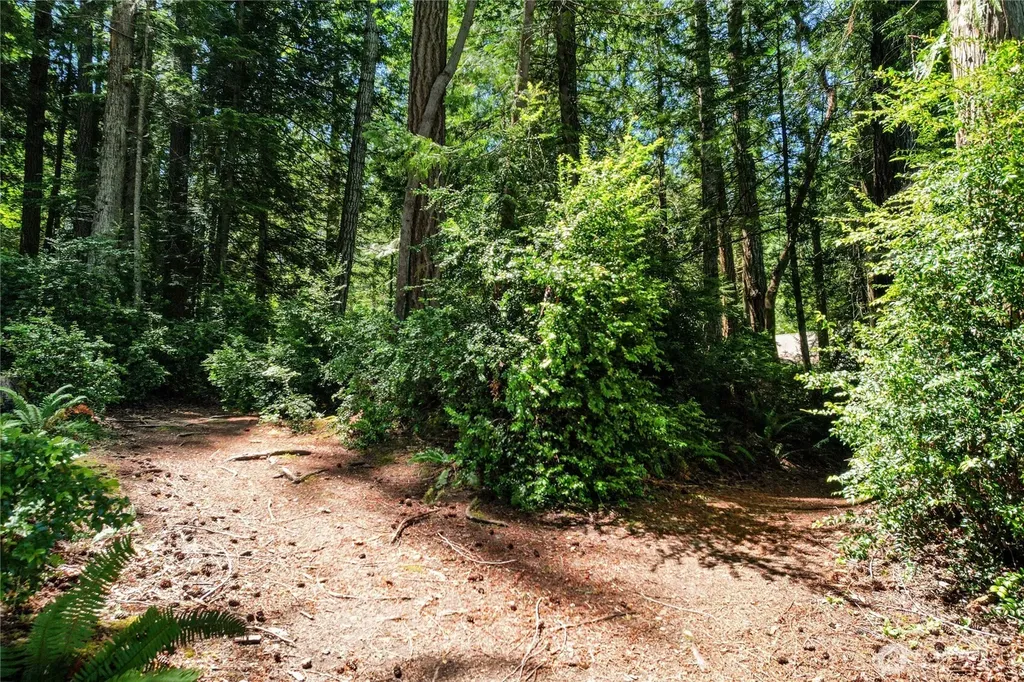 559 E Pointes Drive Shelton WA 98584