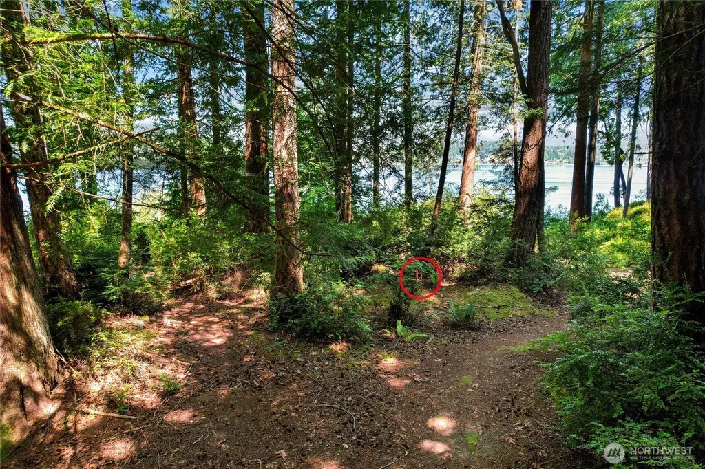 559 E Pointes Drive Shelton WA 98584