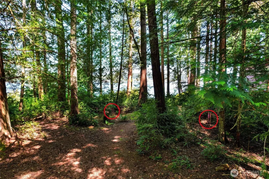 559 E Pointes Drive Shelton WA 98584