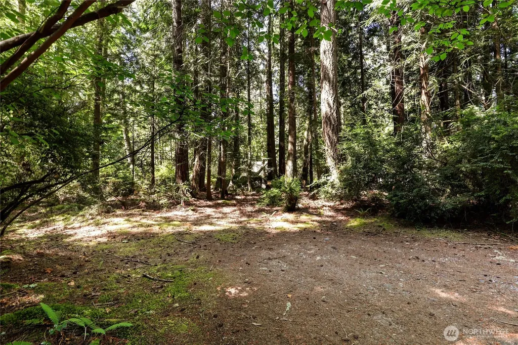 559 E Pointes Drive Shelton WA 98584