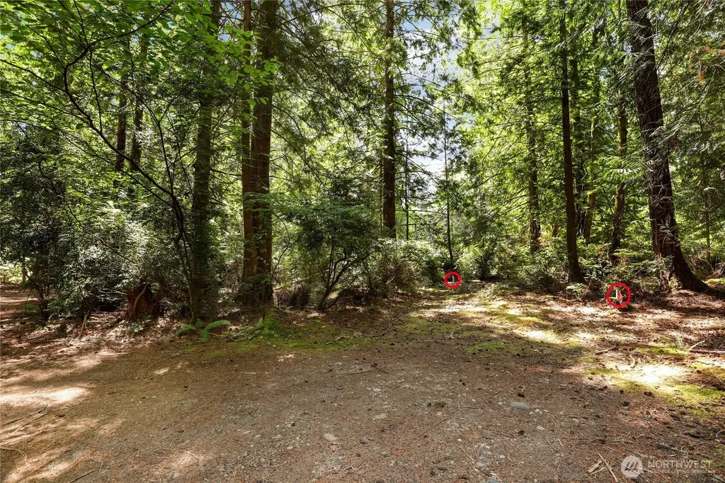 559 E Pointes Drive Shelton WA 98584