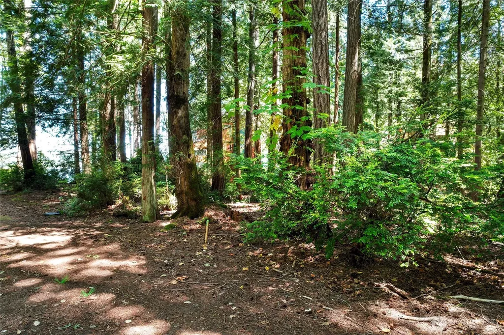 559 E Pointes Drive Shelton WA 98584