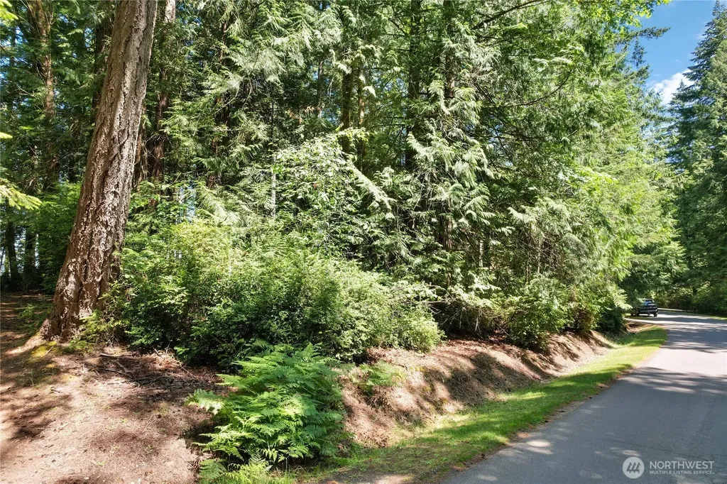 559 E Pointes Drive Shelton WA 98584