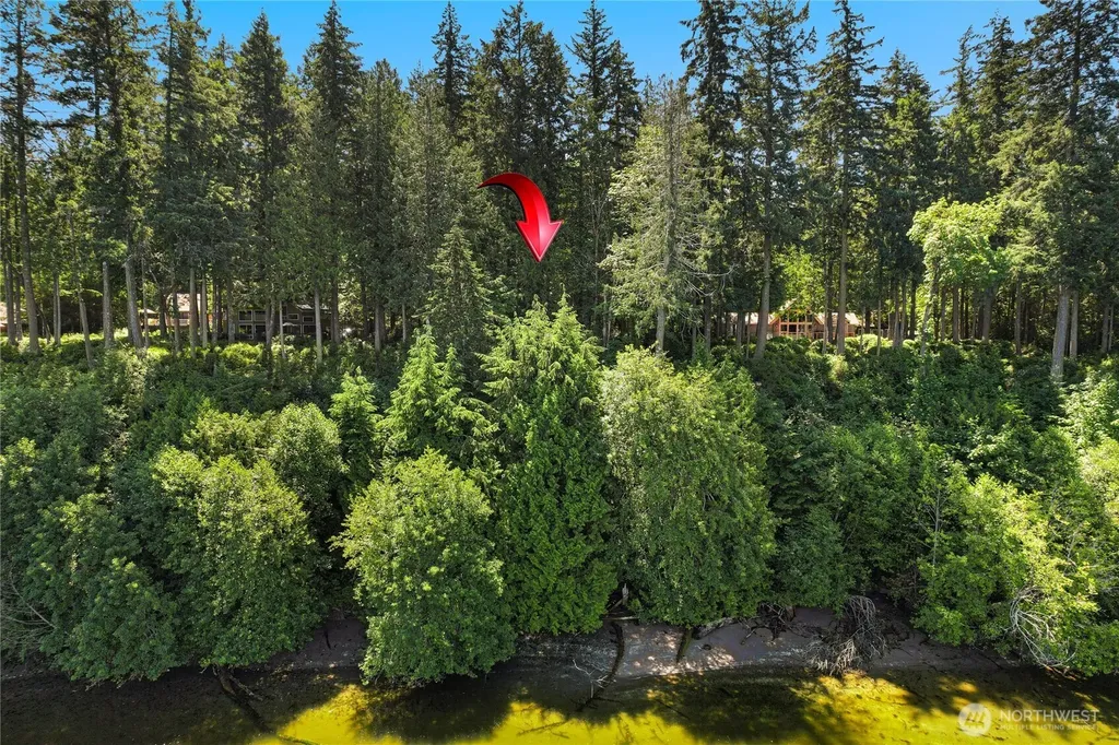 559 E Pointes Drive Shelton WA 98584
