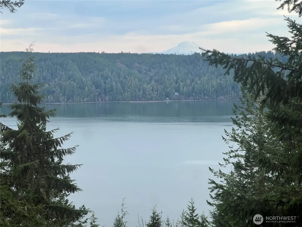 41 N Diamondhead Drive Lilliwaup WA 98555