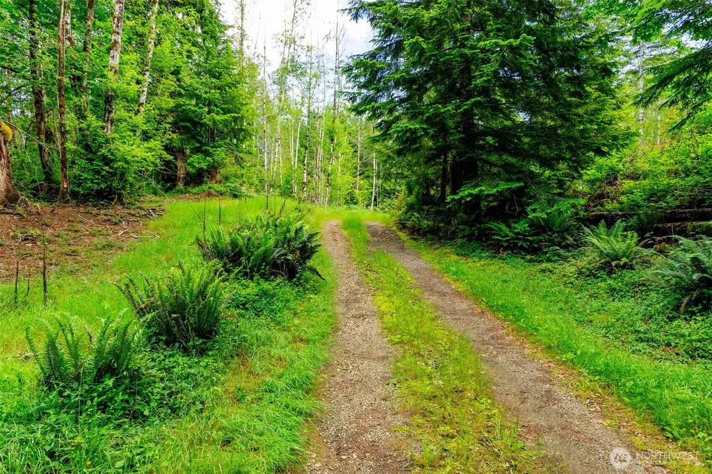 129 Valley View Lane Brinnon WA 98320