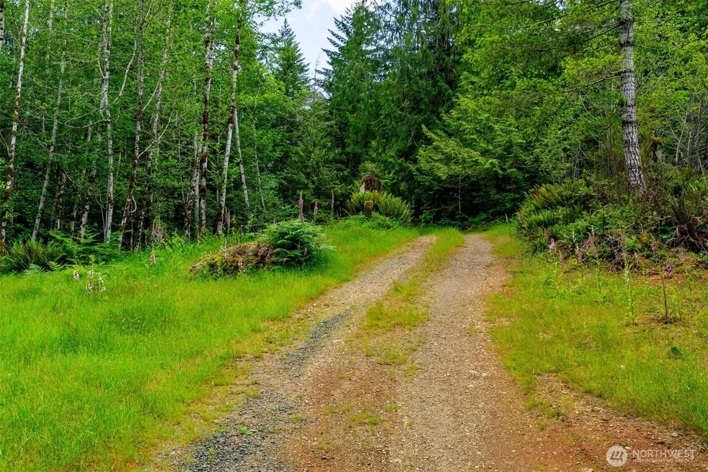 129 Valley View Lane Brinnon WA 98320
