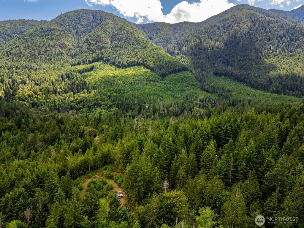 129 Valley View Lane Brinnon WA 98320