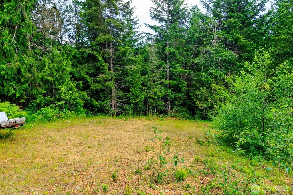129 Valley View Lane Brinnon WA 98320