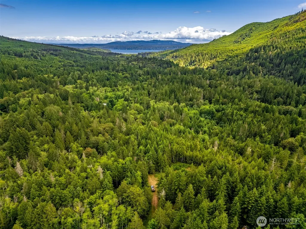 129 Valley View Lane Brinnon WA 98320