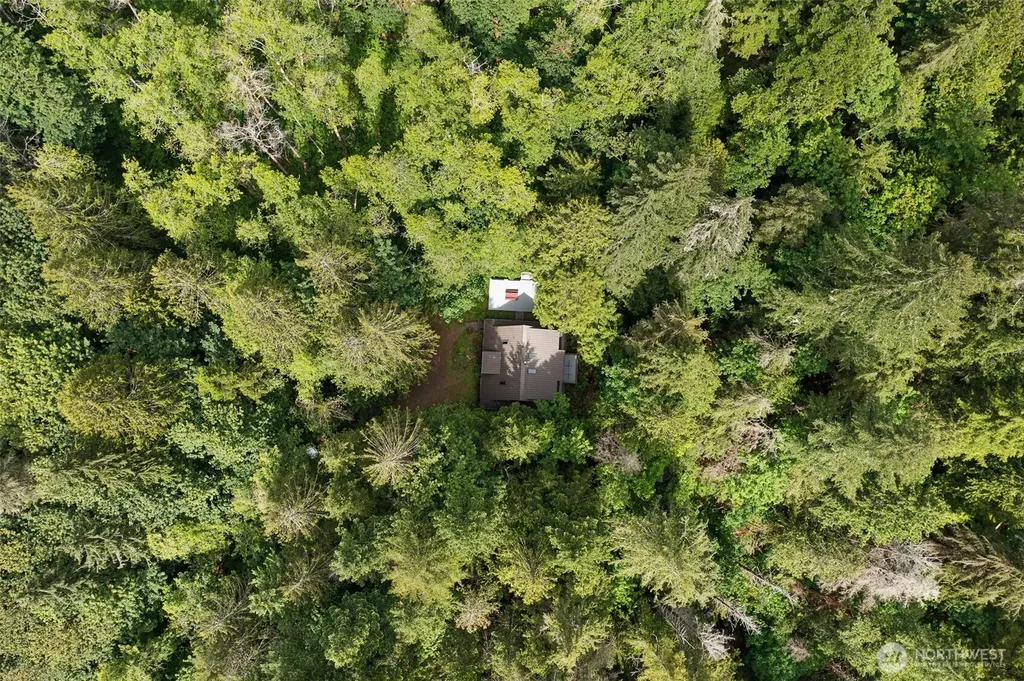 315 Coyote Road Brinnon WA 98320