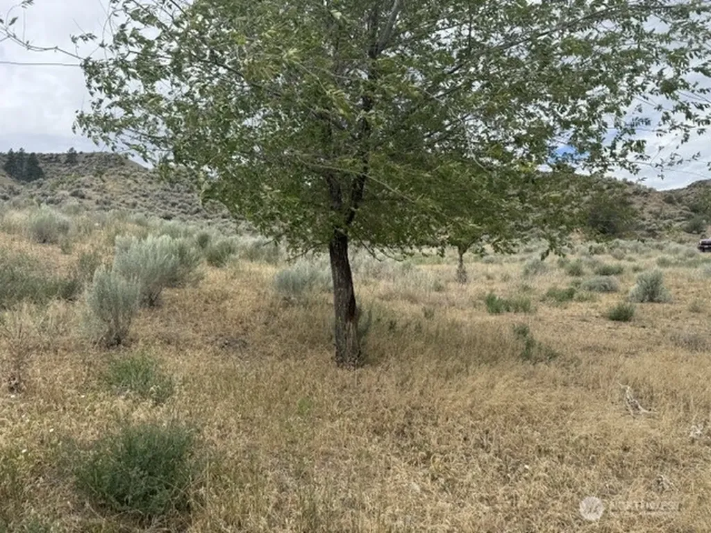 111 Tbd Highway 7 Tonasket WA 98855