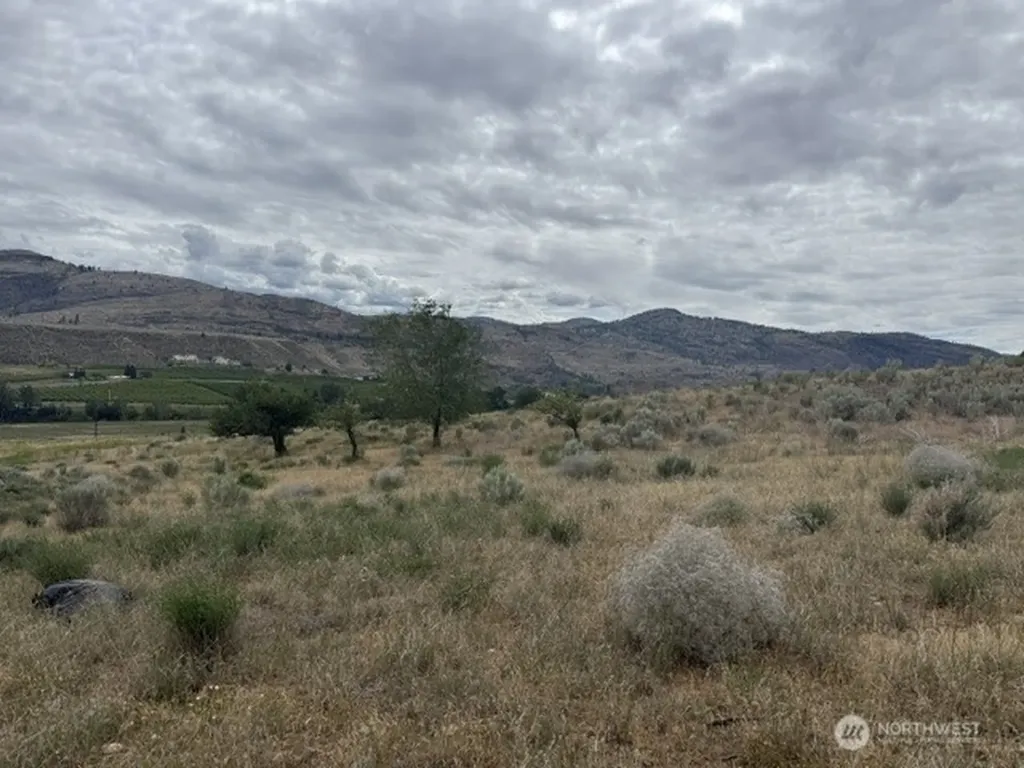 111 Tbd Highway 7 Tonasket WA 98855