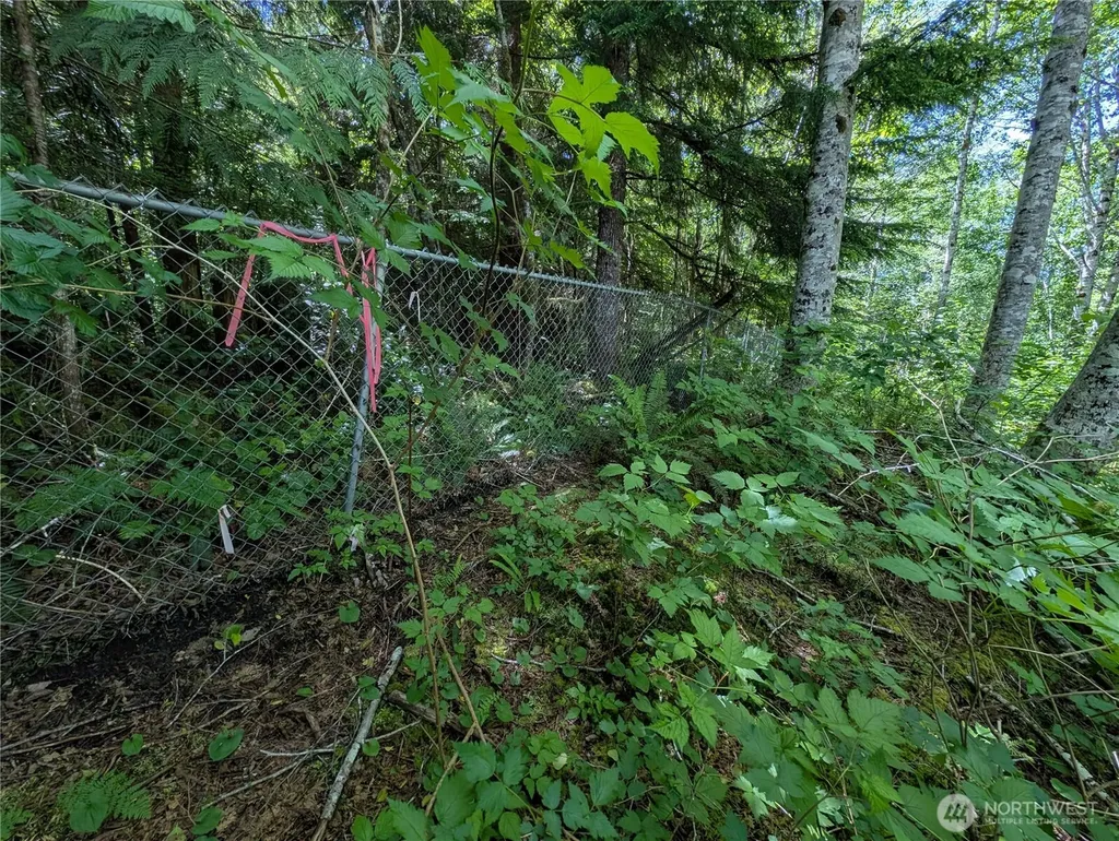 181327 Hwy 101 Highway Forks WA 98331