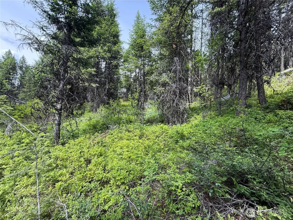 0 Mule Deer Republic WA 99166