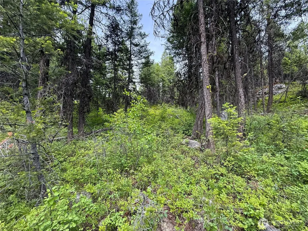 0 Mule Deer Republic WA 99166