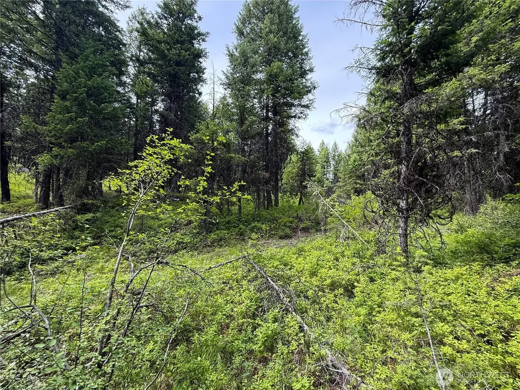 0 Mule Deer Republic WA 99166