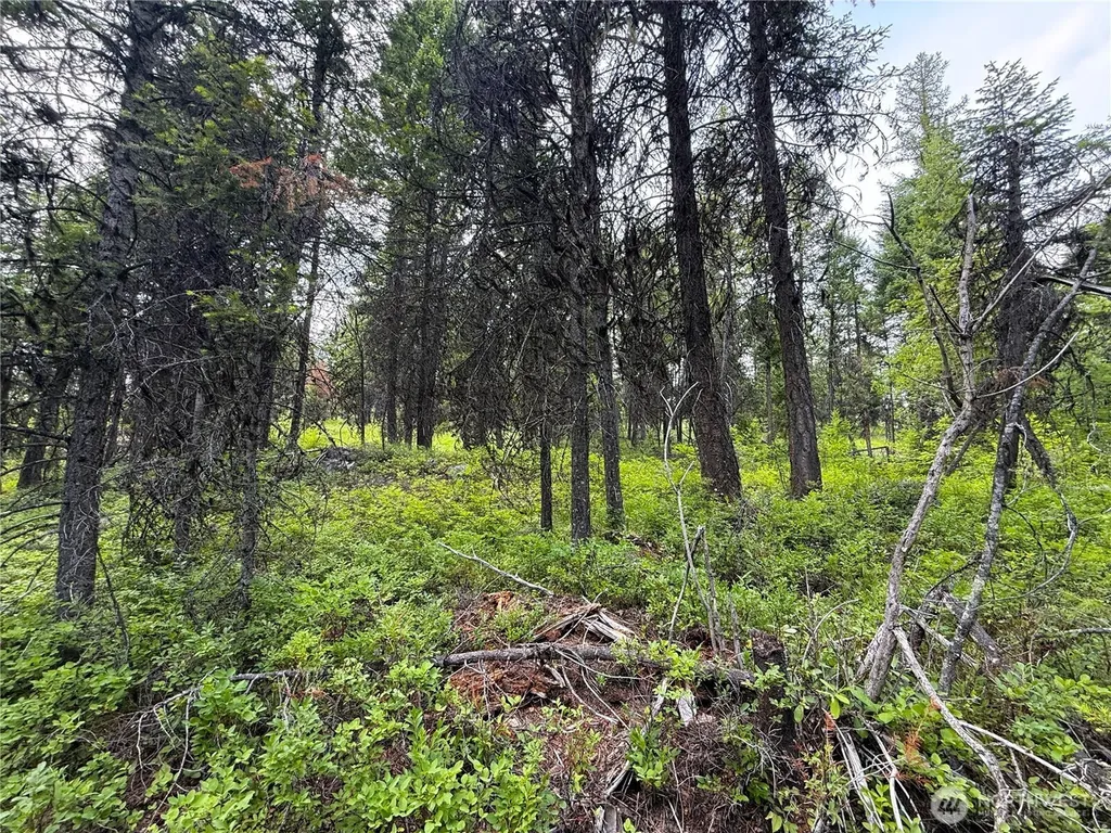 0 Mule Deer Republic WA 99166