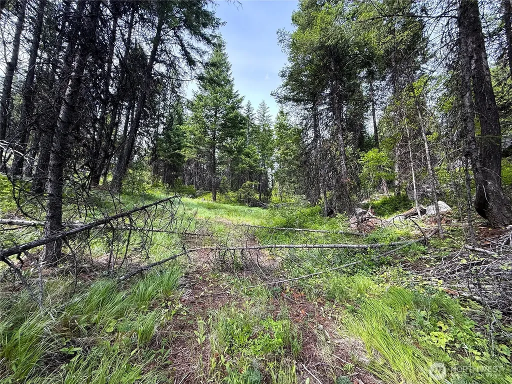 0 Mule Deer Republic WA 99166