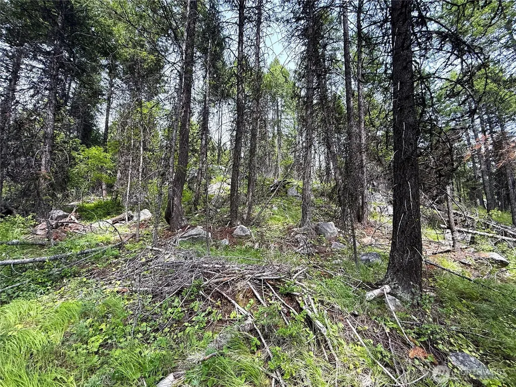 0 Mule Deer Republic WA 99166