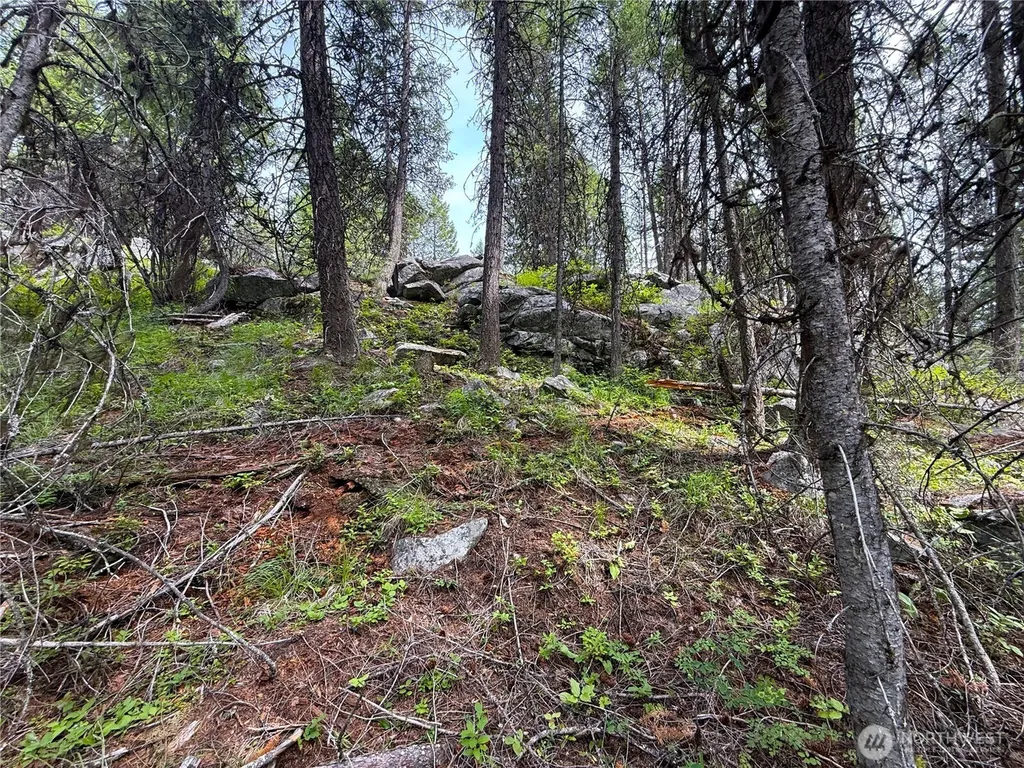 0 Mule Deer Republic WA 99166