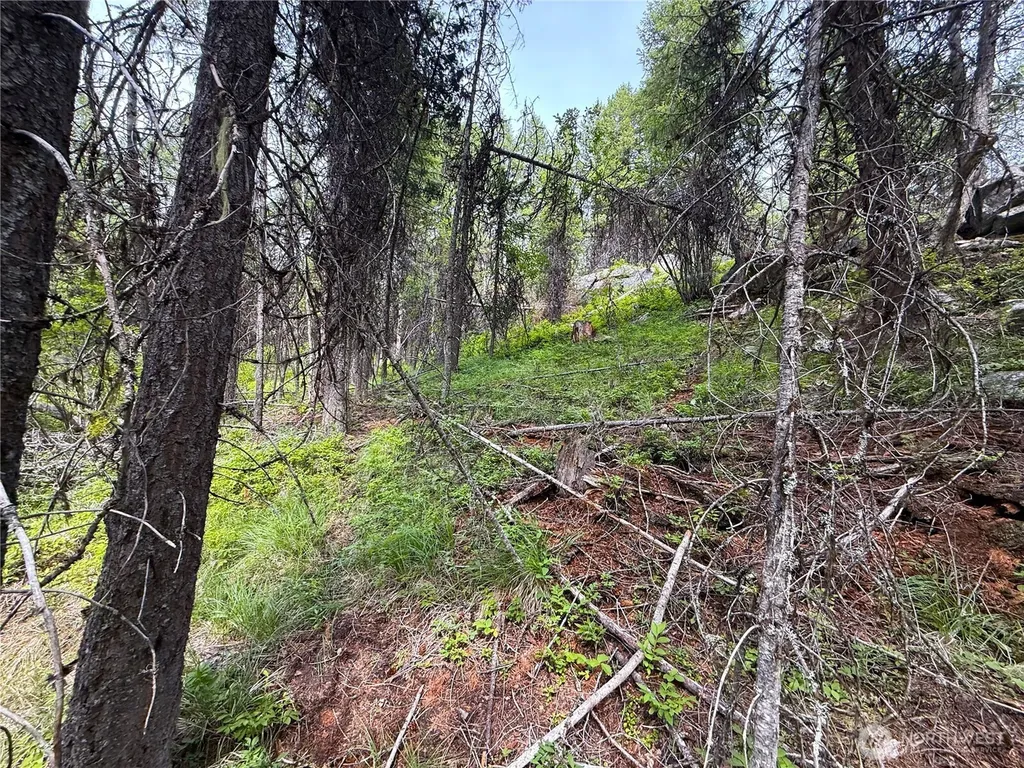 0 Mule Deer Republic WA 99166