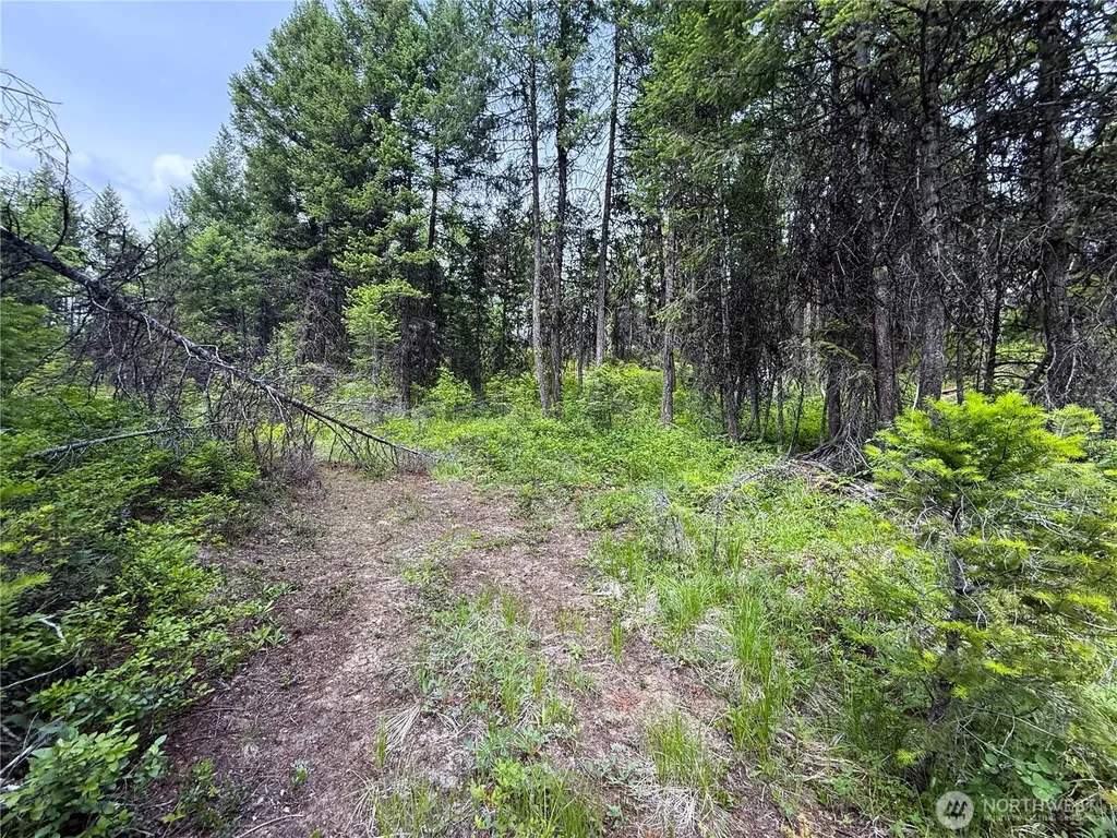0 Mule Deer Republic WA 99166