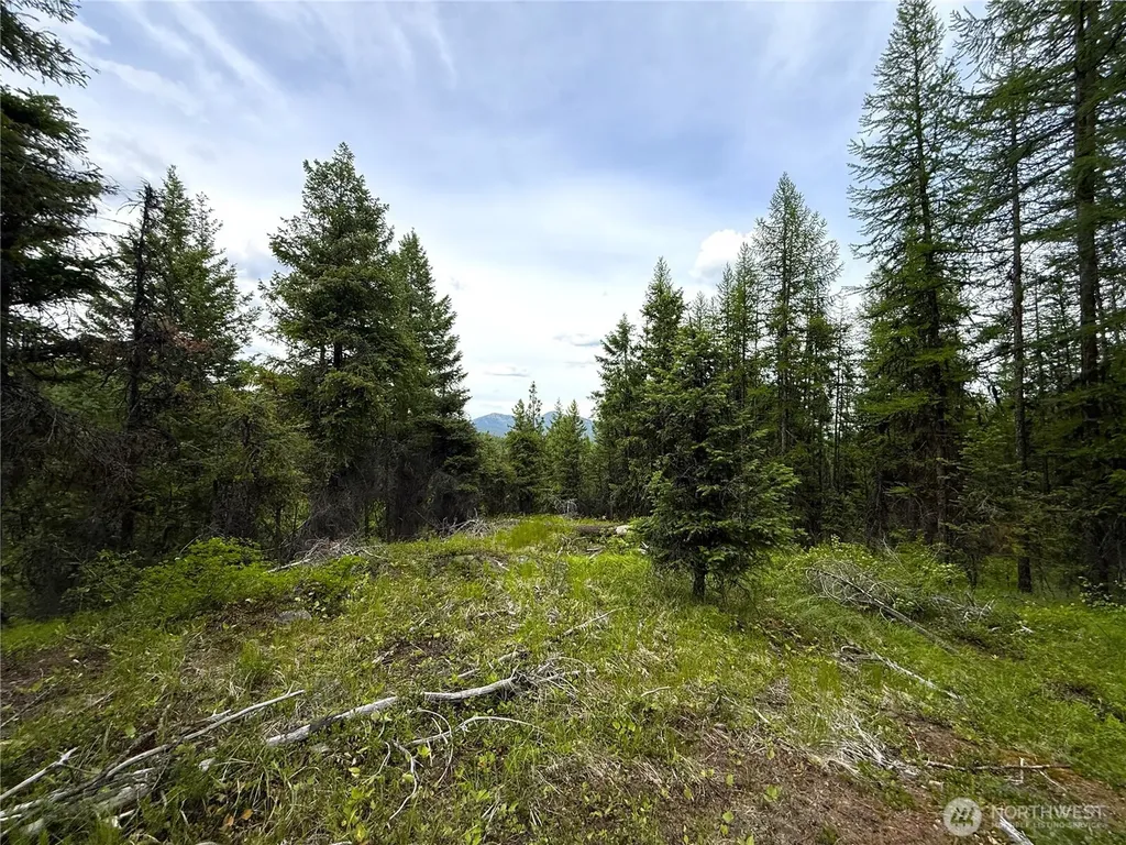 0 Mule Deer Road Republic WA 99166
