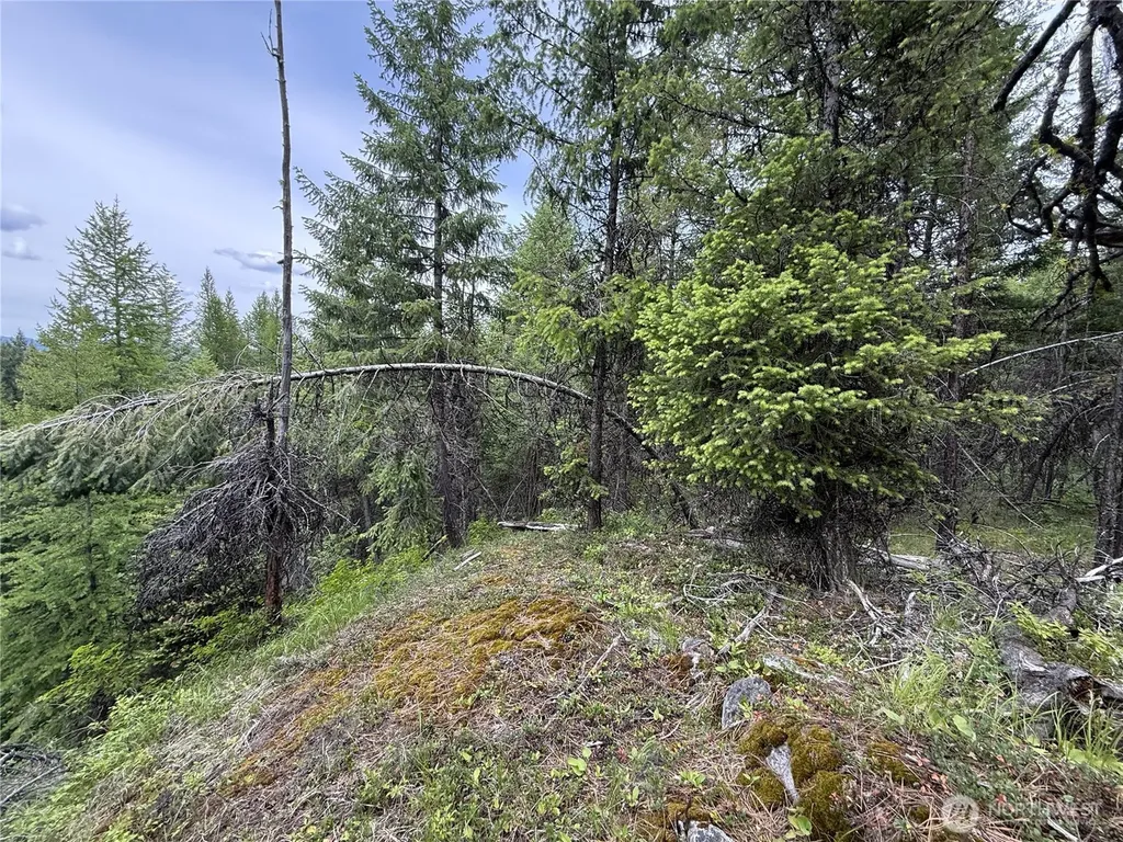 0 Mule Deer Road Republic WA 99166
