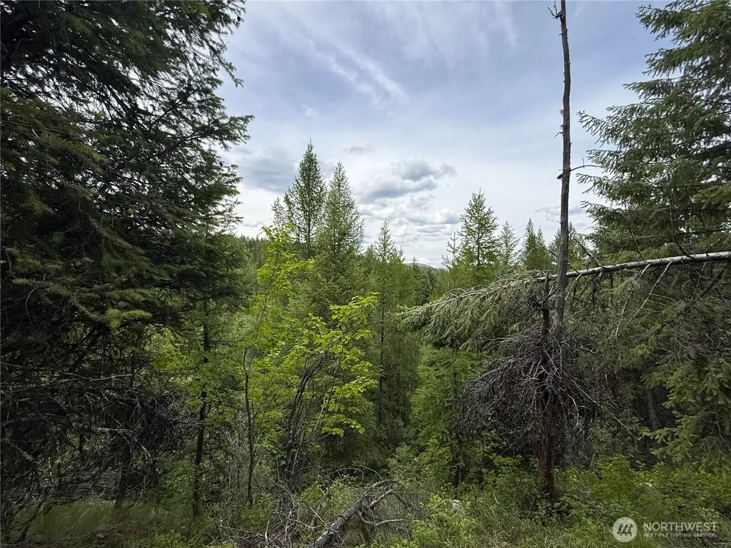 0 Mule Deer Road Republic WA 99166