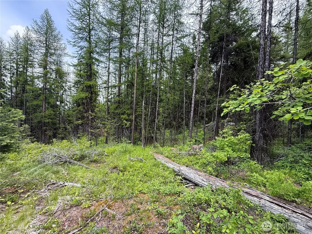 0 Mule Deer Road Republic WA 99166