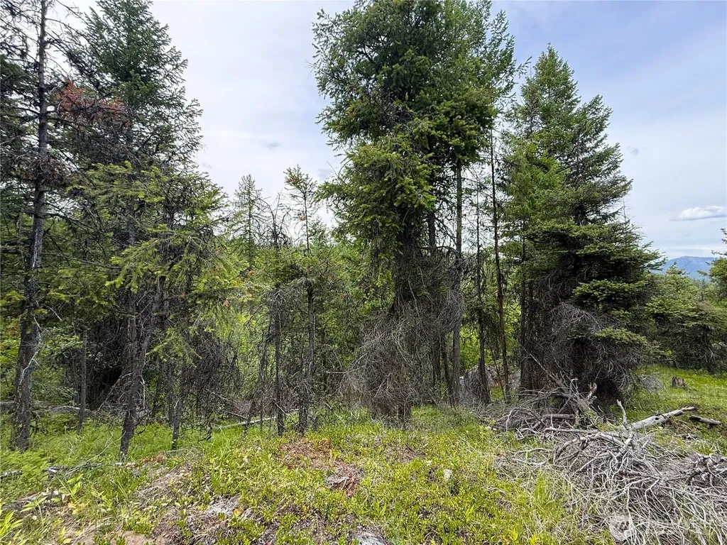 0 Mule Deer Road Republic WA 99166
