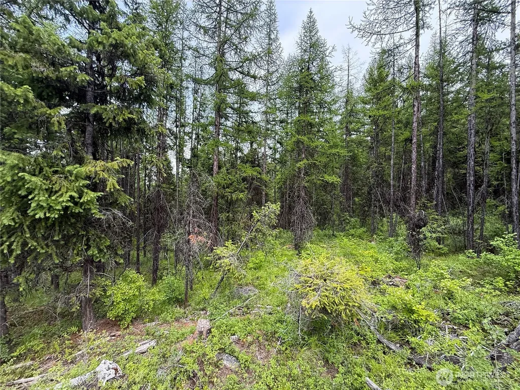 0 Mule Deer Road Republic WA 99166