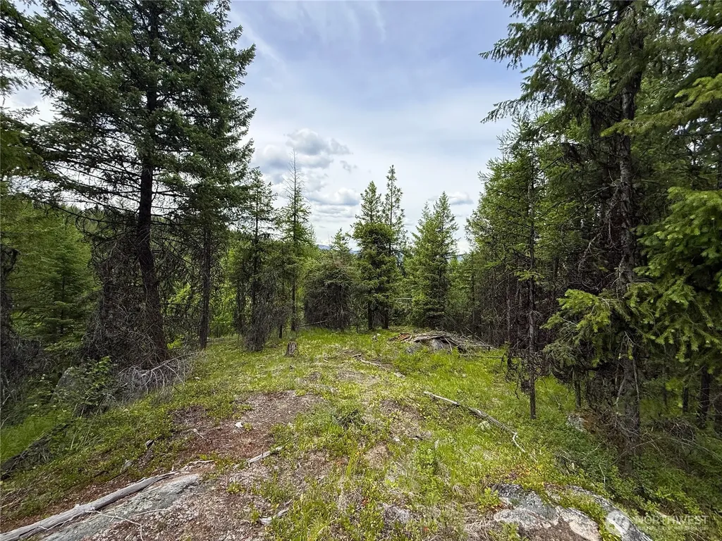 0 Mule Deer Road Republic WA 99166