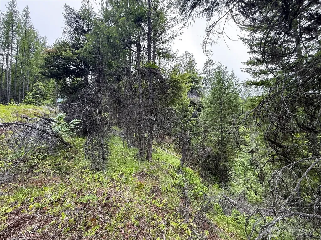 0 Mule Deer Road Republic WA 99166