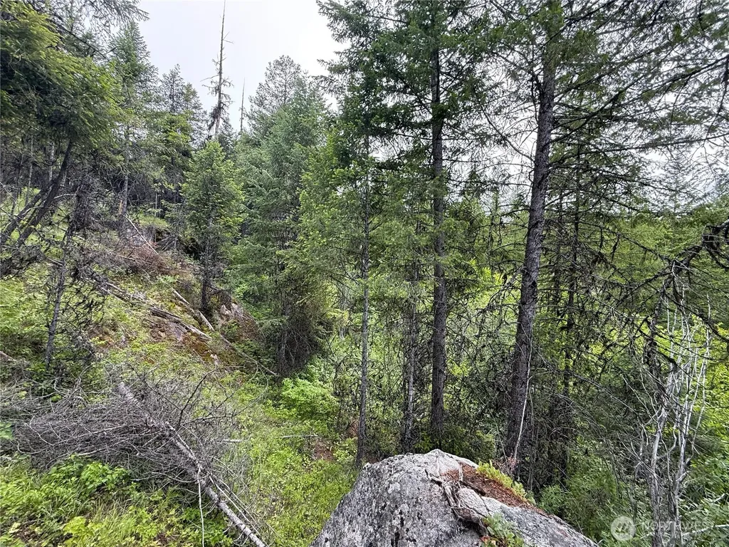 0 Mule Deer Road Republic WA 99166