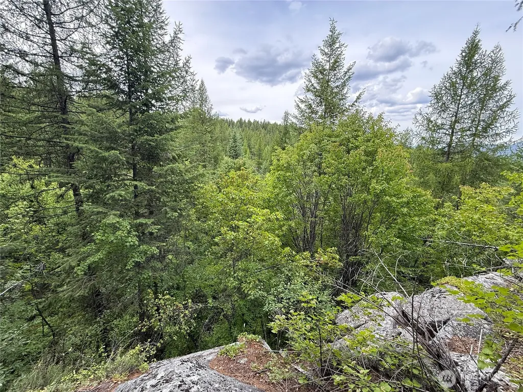 0 Mule Deer Road Republic WA 99166