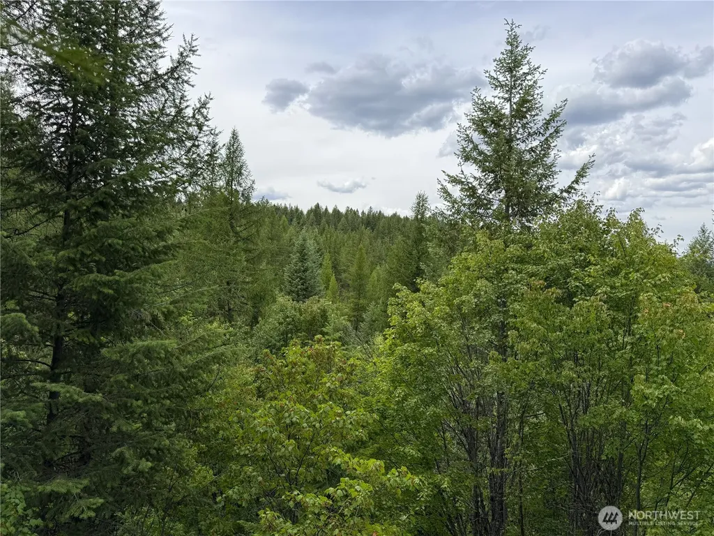 0 Mule Deer Road Republic WA 99166