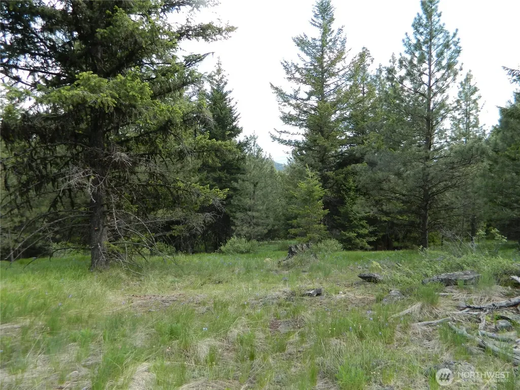 0 Tbd Blue Meadow Road Tonasket WA 98855