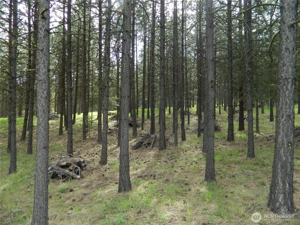 0 Tbd Blue Meadow Road Tonasket WA 98855