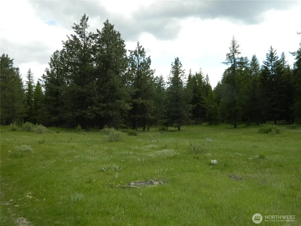 0 Tbd Blue Meadow Road Tonasket WA 98855