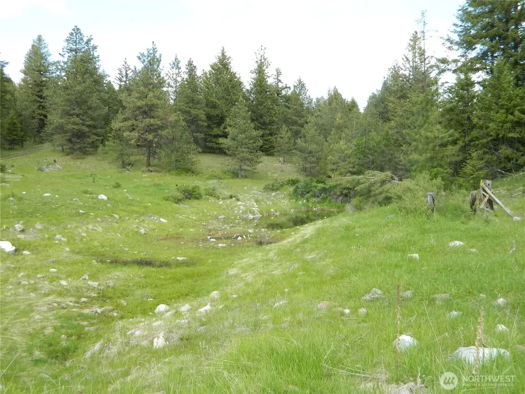 0 Tbd Blue Meadow Road Tonasket WA 98855