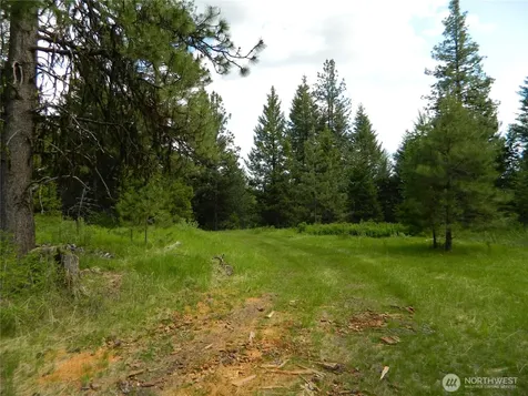 0 Tbd Blue Meadow Road Tonasket WA 98855