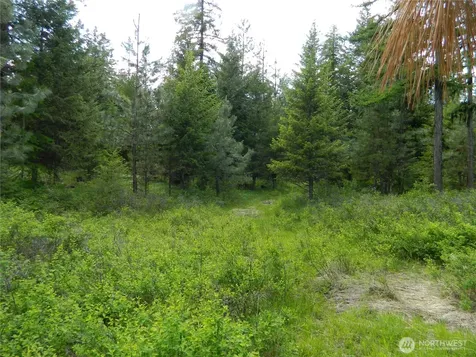 0 Tbd Blue Meadow Road Tonasket WA 98855