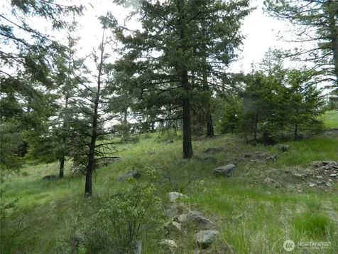 0 Tbd Blue Meadow Road Tonasket WA 98855