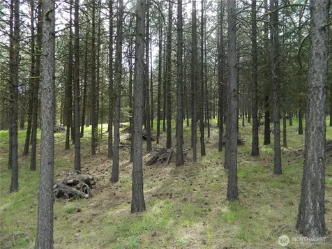 0 Tbd Blue Meadow Road Tonasket WA 98855