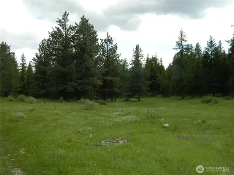 0 Tbd Blue Meadow Road Tonasket WA 98855