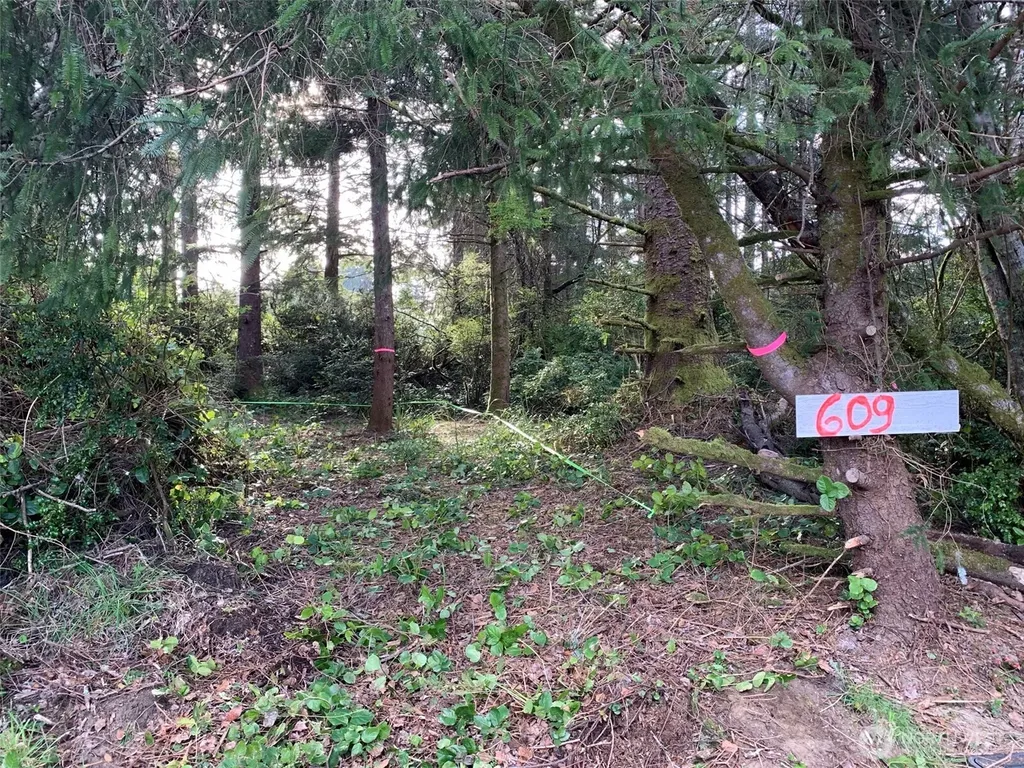 609 Weatherwax Ocean Shores WA 98569