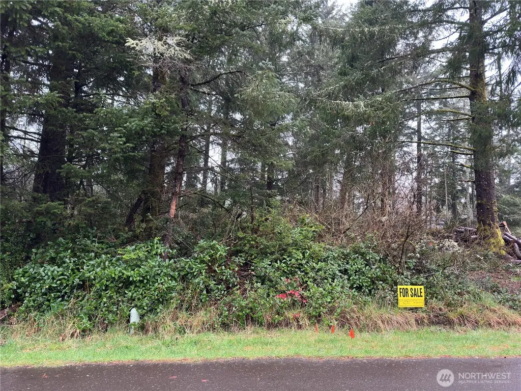 609 Weatherwax Ocean Shores WA 98569