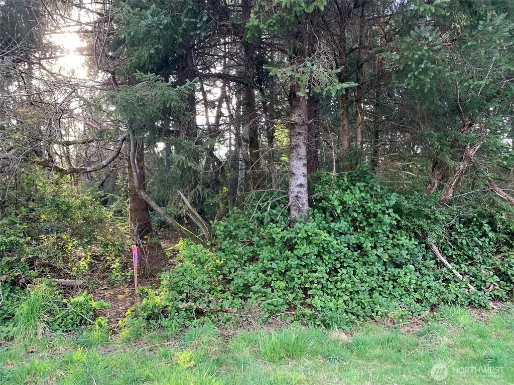 609 Weatherwax Ocean Shores WA 98569